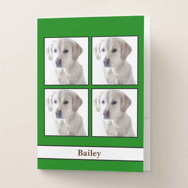 [About My Dog] Vet Records, Event Info, Awards Pocket Folder (Front)