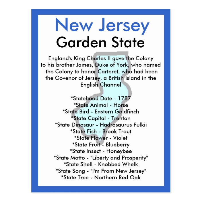 About New Jersey Postcard Zazzle Com