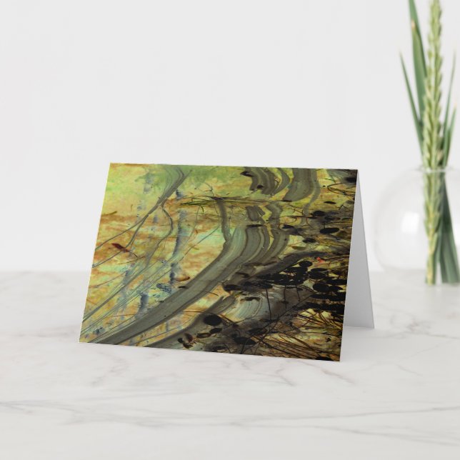 "Above a Beaver Dam II" Abstractly Enhanced Pond Card (Front)