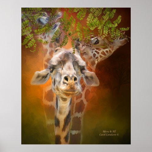 Above It All Art Poster/Print Poster