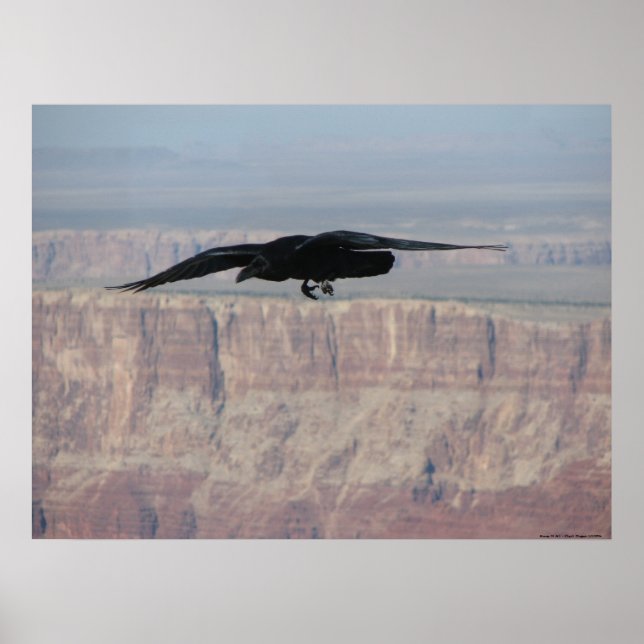 Above It All Poster (Front)