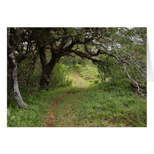 Above Manoa Valley Cards (Front Horizontal)
