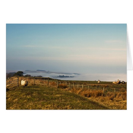 Above the clouds cards (Front Horizontal)