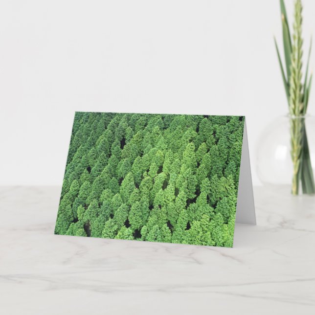 Above the Forest Card (Front)