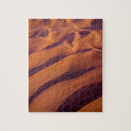 Above View of Desert Sands Jigsaw Puzzle