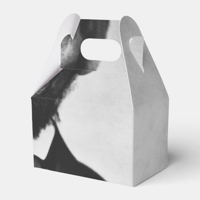 Abraham Lincoln Portrait Favor Boxes (Front Side)