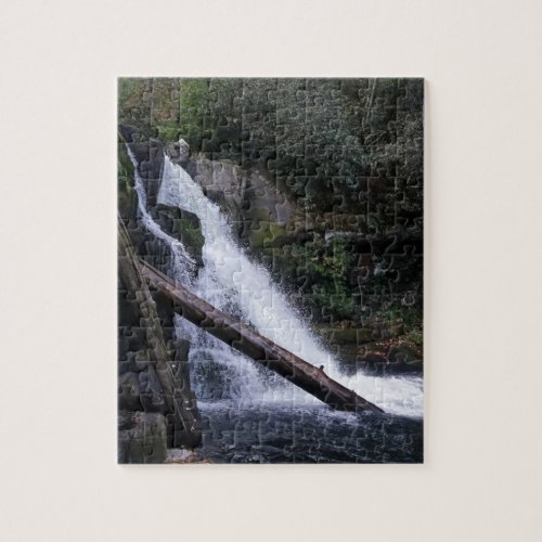 Abrams Falls Jigsaw Puzzle