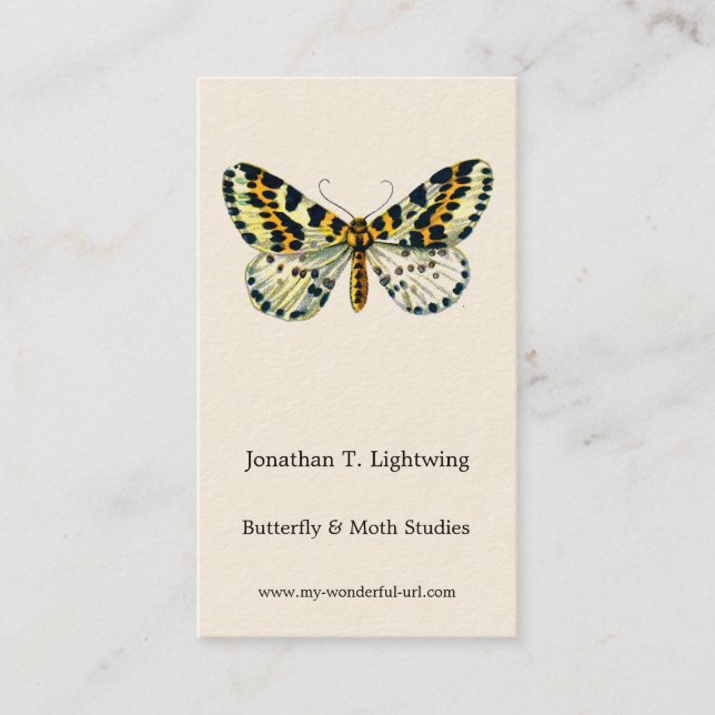 Abraxas grossulariata, The Magpie Moth Color Image Business Card (Front)