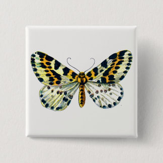 Abraxas grossulariata, The Magpie Moth Color Image Button