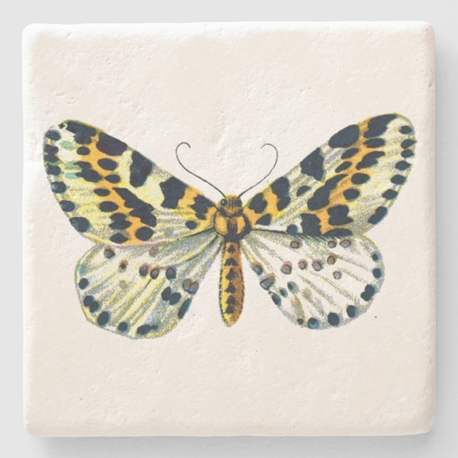 Abraxas grossulariata, The Magpie Moth Color Image Stone Coaster (Front)