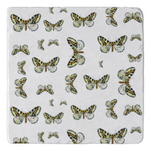 Abraxas grossulariata, The Magpie Moth Color Image Trivet