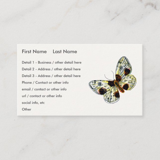 Abraxas sylvata - The Clouded Magpie Moth Business Card (Front)