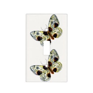 Abraxas sylvata - The Clouded Magpie Moth Light Switch Cover