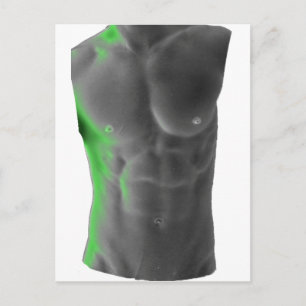 Abs Postcard