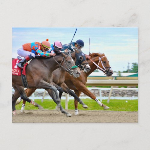 Absentee_ Irad Ortiz jr  Camgo Irish Roar Postcard