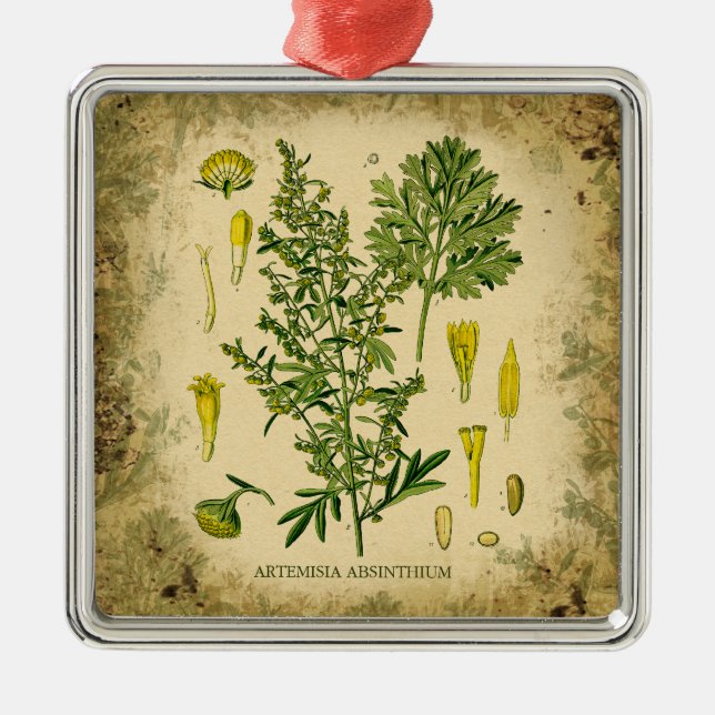 Absinthe Botanical Collage Metal Ornament (Front)