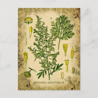 Absinthe Botanical Collage Postcard