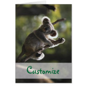 Absolutely Adorable Koala Bear (Front)