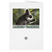 Absolutely Adorable Koala Bear Cards (Back)