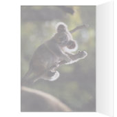 Absolutely Adorable Koala Bear Cards (Inside (Left))