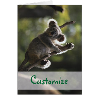 Absolutely Adorable Koala Bear Cards
