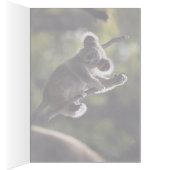 Absolutely Adorable Koala Bear Cards (Inside (Right))