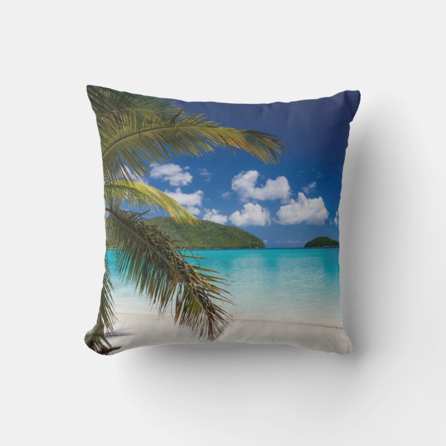 Absolutely Stunning Tropical Island  Throw Pillow (Front)