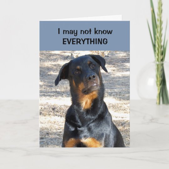 Absolutely Sure Rottweiler Valentine's Day Card | Zazzle.com