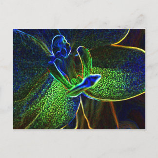 Abstract Anthura postcard