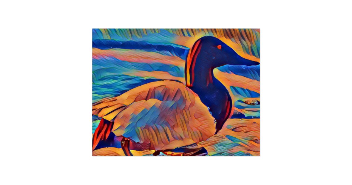 Abstract Art Canvasback Duck Postcard