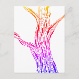 Abstract Art Pen and Ink Tree Color Drawing  Postcard
