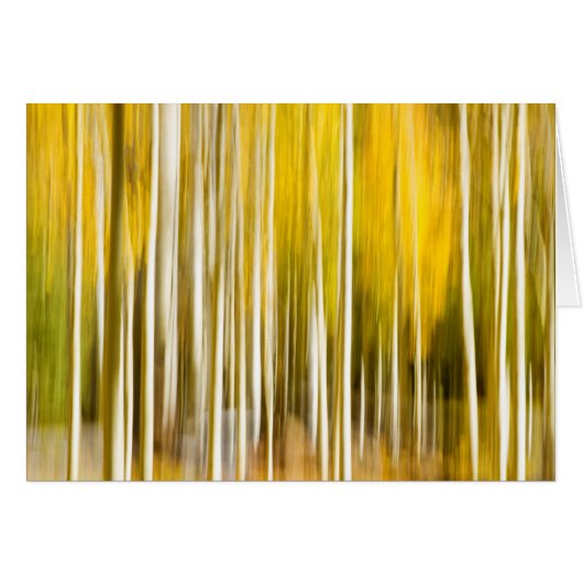 Abstract aspens cards (Front Horizontal)