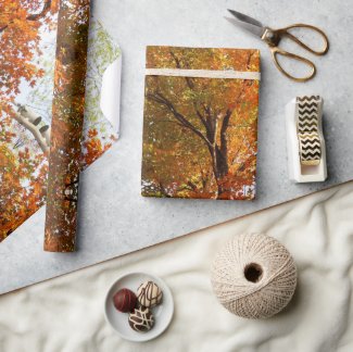Abstract Autumn Season Maple Tree Craft or 