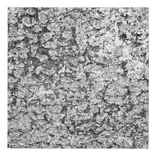 Abstract background. Monochrome texture. Image inc Faux Canvas Print