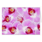 Abstract Background of an Orchid Flower Photograph (Front Horizontal)