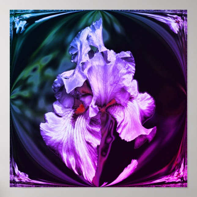 Abstract Bearded Iris Flower Art Poster (Front)
