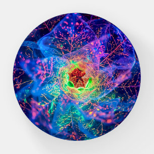 Abstract Beyond floral Paperweight