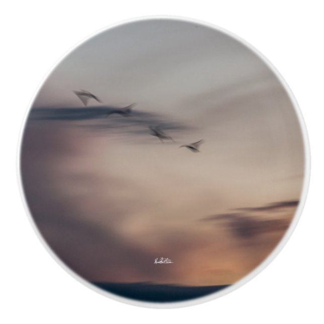 abstract bird door handle photo ceramic knob (Front)