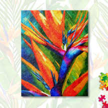 Abstract Bird of Paradise Flower Tropical