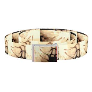 abstract bird shadows belt
