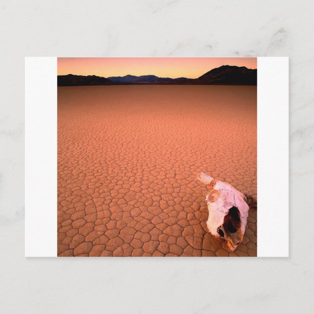Abstract Bone Dry Death Valley Postcard (Front)