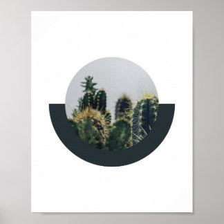 Abstract Cactus Poster 2 | 8x10