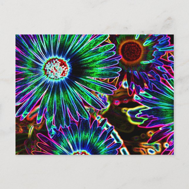 Abstract Cape Daisy postcard (Front)
