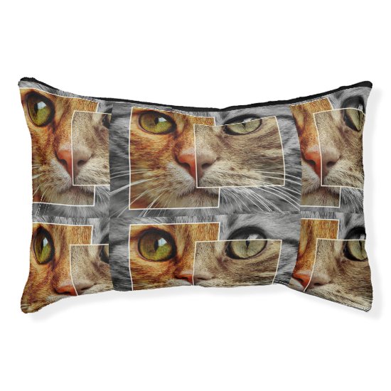 Abstract cat pet bed