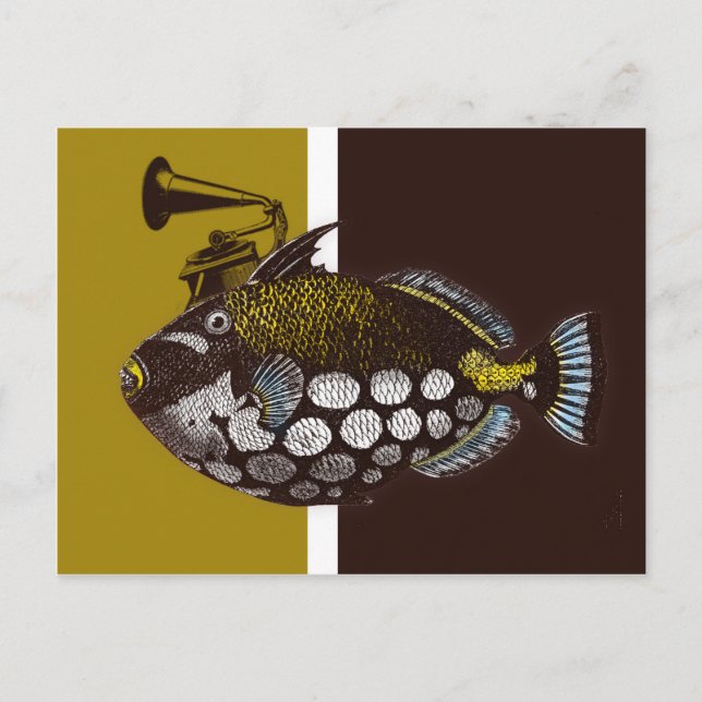 Abstract clown triggerfish Postcard (Front)