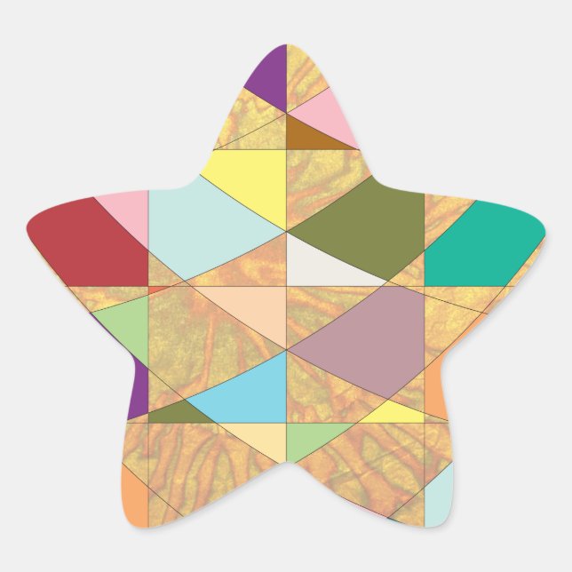 Abstract Colors Sun Burst Star Sticker (Front)