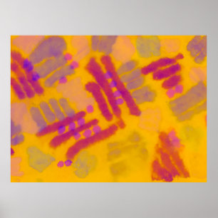 Abstract creative drawing. Autumn Color background Poster