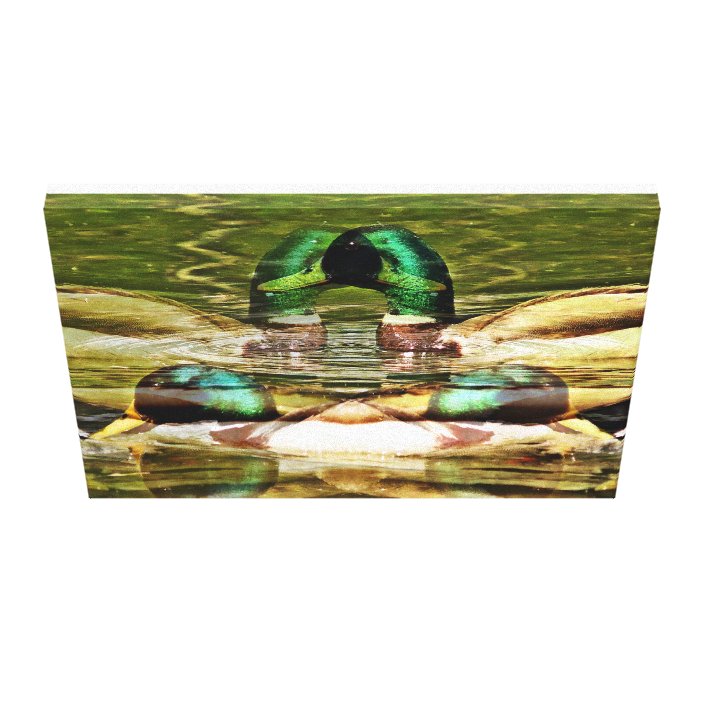 Abstract ducks canvas print