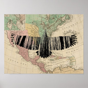 Abstract Eagle Tree Silhouettes Vintage USA Map Poster