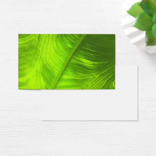 Abstract Elephant Ear Photo w/ Blank Back (Desk)